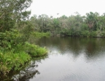 Imagen Laguna de Taracoa